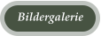 Bildergalerie