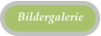 Bildergalerie